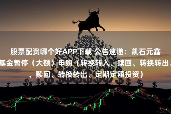 股票配资哪个好APP下载 公告速递：凯石元鑫混合发起式基金基金暂停（大额）申购（转换转入、赎回、转换转出、定期定额投资）