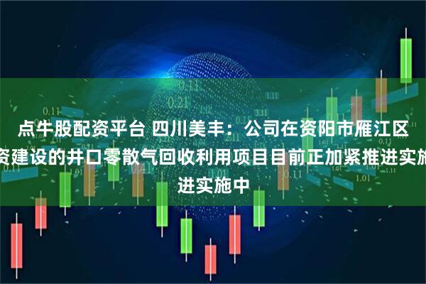 点牛股配资平台 四川美丰：公司在资阳市雁江区投资建设的井口零散气回收利用项目目前正加紧推进实施中