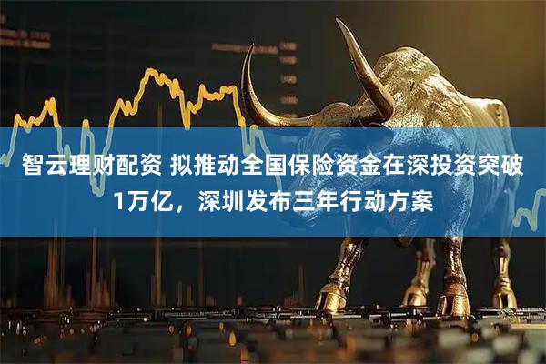 智云理财配资 拟推动全国保险资金在深投资突破1万亿，深圳发布三年行动方案